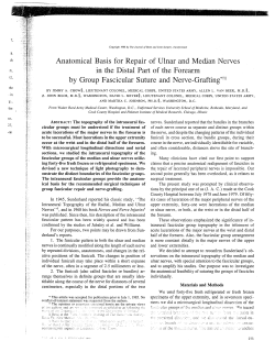 Anatomical Basis for Repair of Ulnar and Median Nerves in the