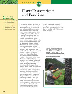 14 Plant Characteristics and Functions