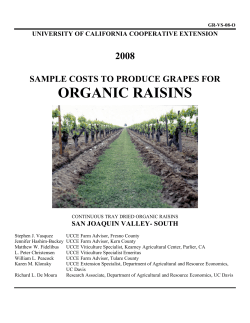 sample costs to produce grapes for organic raisins