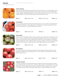 Take a look at the 2013 catalog - Traces Organic Garden Salt Lake