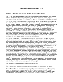 IOP Parish Plan 2011