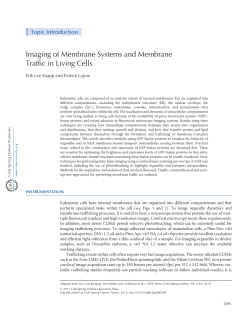 Imaging of Membrane Systems and Membrane Traffic in Living Cells
