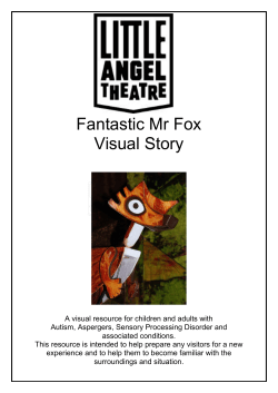 Fantastic Mr Fox Visual Story