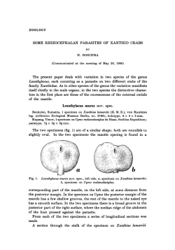 Some rhizocephalan parasites of Xanthid crabs