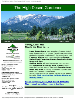 The High Desert Gardener