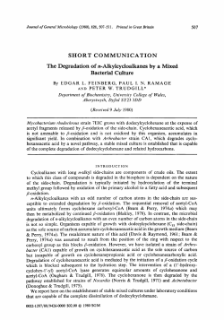 SHORT COMMUNICATION The Degradation of n