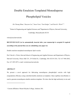 Template for Electronic Submission to ACS Journals