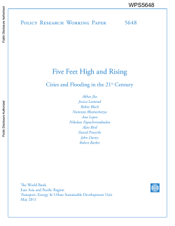 Five Feet High and Rising: Cities and Flooding in