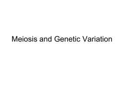 Meiosis and Genetic Variation