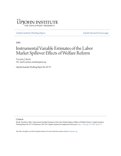 Instrumental Variable Estimates of the Labor Market Spillover Effects