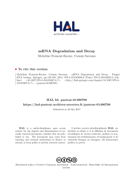 mRNA Degradation and Decay - HAL