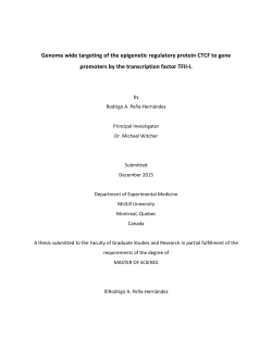 Genome wide targeting of the epigenetic regulatory protein CTCF to