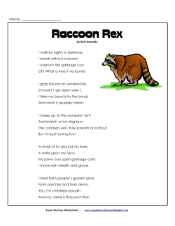 Raccoon Rex (Poem) - Super Teacher Worksheets