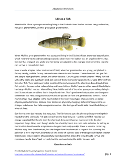 Adaptation Worksheet