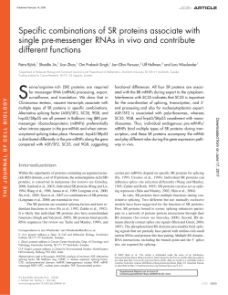Specific combinations of SR proteins associate with single pre