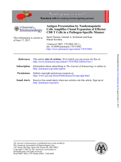 CD8 T Cells in a Pathogen-Specific Manner Cells Amplifies Clonal