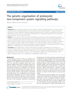 The genetic organisation of prokaryotic two