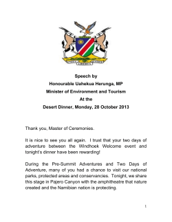 Minister Desert Dinner - Ministry of Environment and Tourism