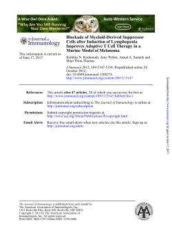 Murine Model of Melanoma Improves Adoptive T Cell Therapy in a