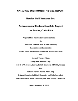 ni 43-101 report