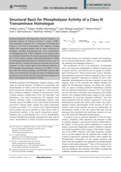 Structural Basis for Phospholyase Activity of a Class III