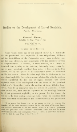 Mittheilungen aus der Zoologischen Station zu Neapal
