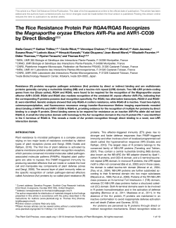 The Rice Resistance Protein Pair RGA4/RGA5