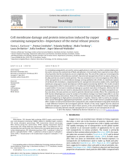 Cell membrane damage and protein interaction induced by copper