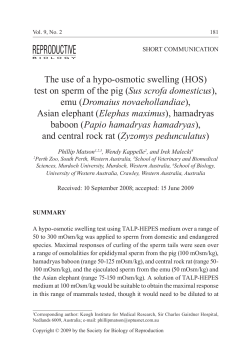 The use of a hypo-osmotic swelling (HOS) test on sperm of the pig