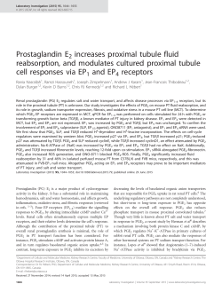 Prostaglandin E2 increases proximal tubule fluid reabsorption, and