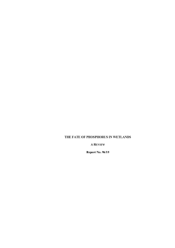 THE FATE OF PHOSPHORUS IN WETLANDS Report No. 96/15