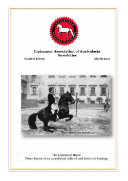 Newsletter March 2013 - Lipizzaner Association of Australasia