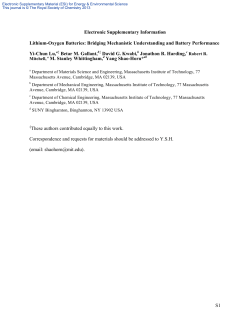 Electronic Supplementary Information Lithium
