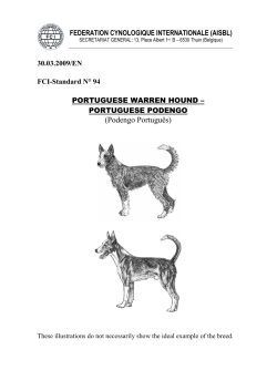 Podengo Portugu&ecirc;s