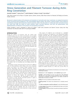 Stress Generation and Filament Turnover during Actin Ring