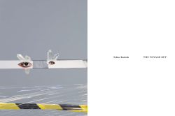 pdf english - Sabine Kuehnle