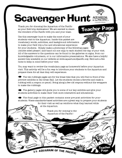 Scavenger Hunt - Aquarium of the Pacific