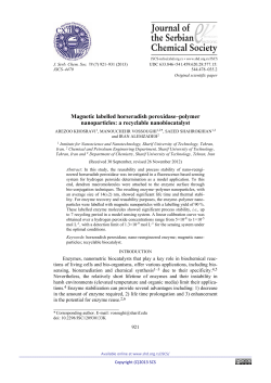 Magnetic - doiSerbia