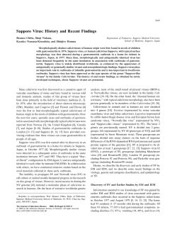 Sapporo Virus: History and Recent Findings