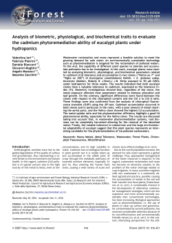 Iori V, Pietrini F, Bianconi D, Mughini G, Massacci A, Zacchini M