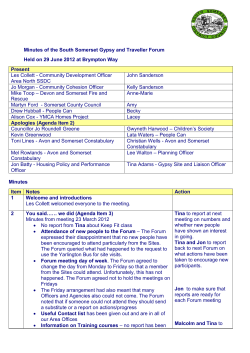 Potential challenges - South Somerset District Council