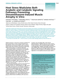 Heat Stress Modulates Both Anabolic and Catabolic Signaling