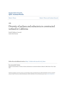 Diversity of archaea and eubacteria in constructed wetland in