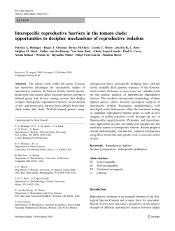 Interspecific reproductive barriers in the tomato clade: opportunities