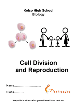 Cell Division and Reproduction