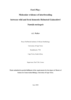 Fowl Play: Molecular evidence of interbreeding between wild and