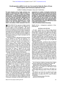 Erythropoietin mRNA Levels Are Governed by Both