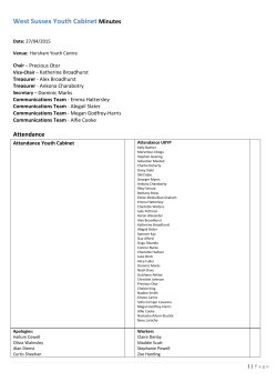 Youth Cabinet minutes April 2015
