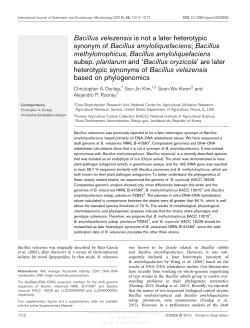 Bacillus velezensis is not a later heterotypic synonym of Bacillus