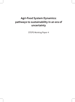 Agri-Food System Dynamics: pathways to